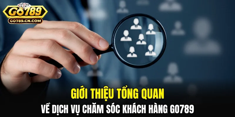 Giới thiệu tổng quan về dịch vụ chăm sóc khách hàng GO789