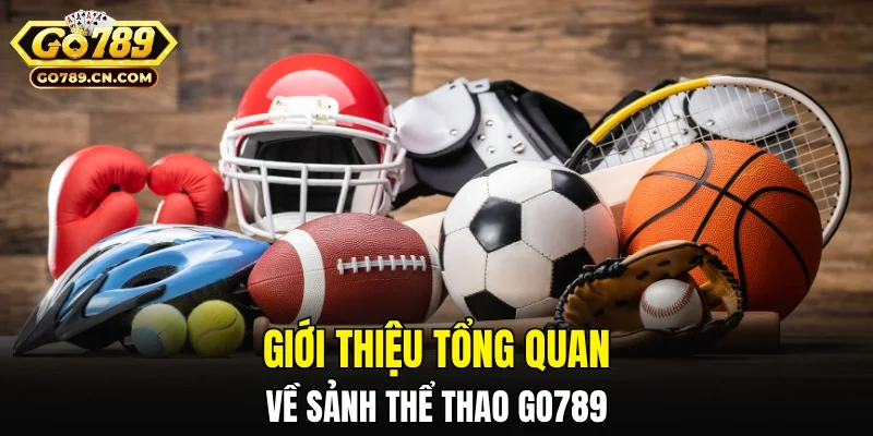 Giới thiệu tổng quan về sảnh thể thao GO789