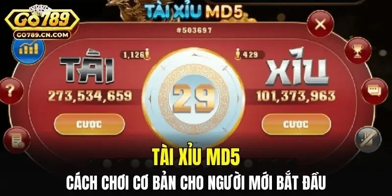 Tài Xỉu MD5
